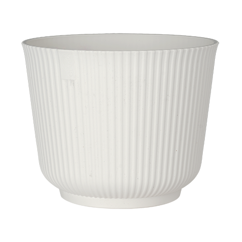 【THEAIRTOWN】 central tree cotton pt ★2color CTi Living